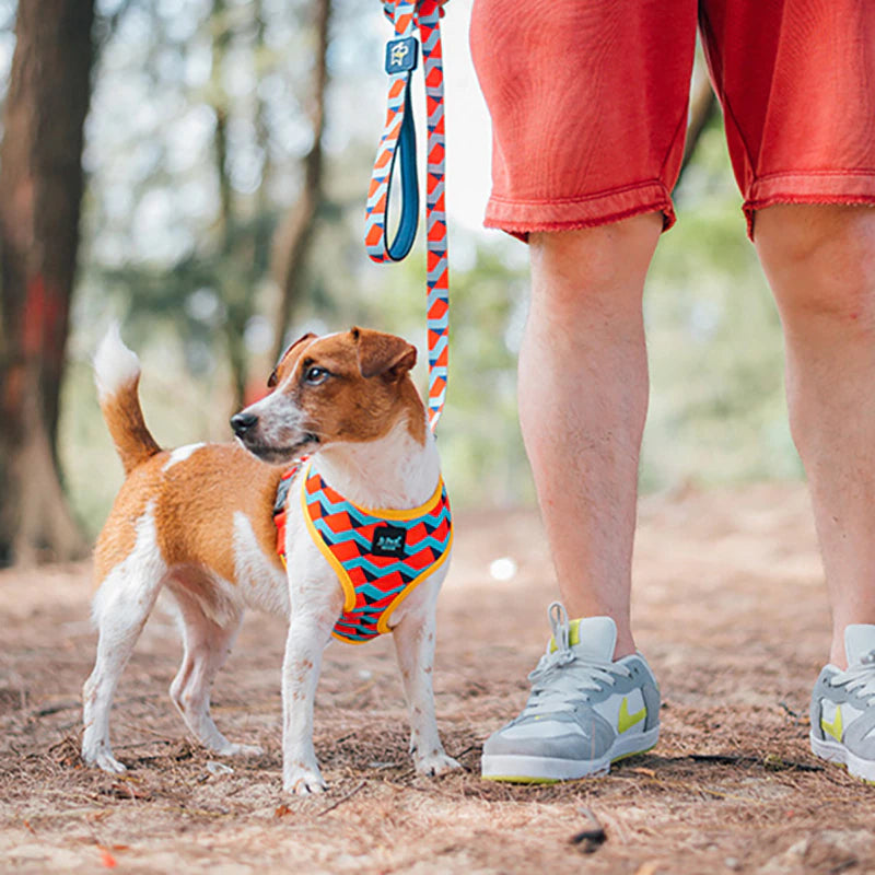 Dog Cat Harness for Pug Small Medium Dogs Pet Adjustable Vest Walking Lead Leash for Puppy Collar Cat Pet Dog Chest Strap Leash